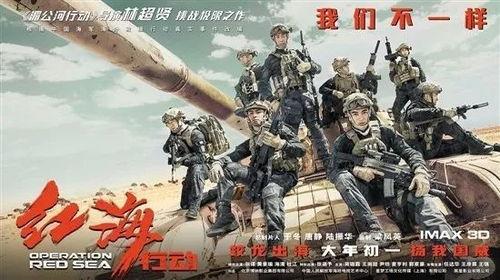 国产大片小视频,光影交织下的时代印记