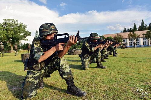 国产警用枪视频,震撼展示与实战解析