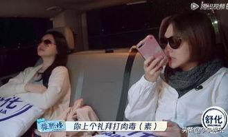 美女国产综艺节目视频,国产综艺美女风采大赏