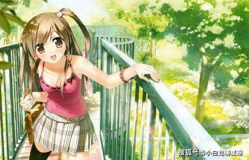 国产动漫美女穿夏装视频,国产美女动漫角色夏装风采展示