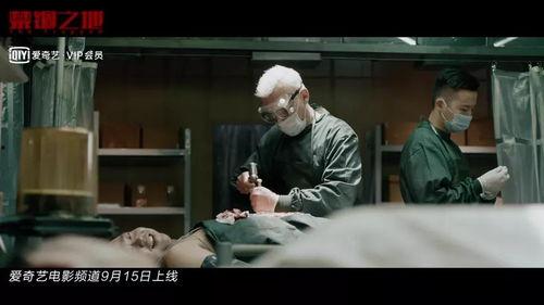 搞笑视频国产悬疑片大全,国产搞笑视频悬疑片大盘点