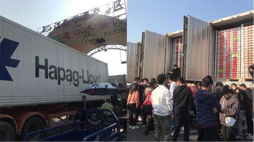 国产大型囤货现场视频,壮观景象令人惊叹