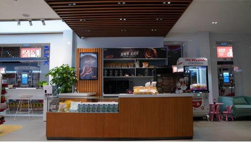 国产雪茄探店视频大全,一探究竟，揭秘国内雪茄市场风采