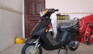 国产巧格视频,创新科技与时尚设计完美融合