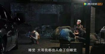 对白国产乱子伦视频大全,揭秘网络乱象背后的真相