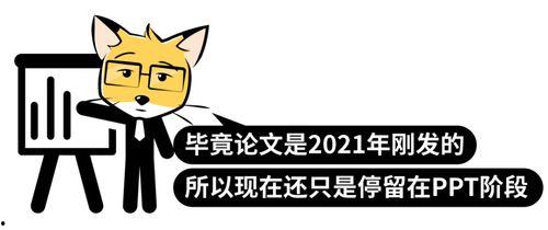 光刻机真的国产了吗视频,揭秘我国光刻技术自主创新的里程碑