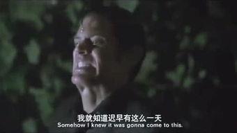 国产老王子视频