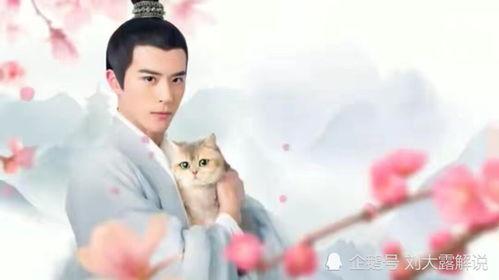 人人视频上推荐的国产剧,穿越时空的浪漫传奇，带你领略家国情怀