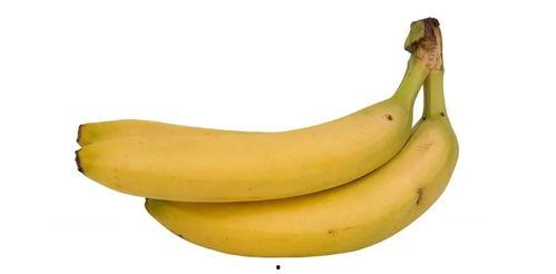 香蕉国产成版视频在线