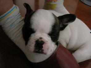 牛牛国产第一视频自拍