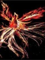 国产朱雀玩具视频,创意无限，童趣盎然