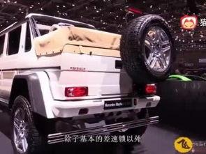 国产跑车视频文案,速度与激情的视觉盛宴