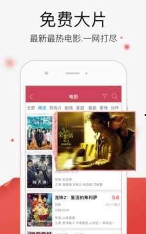 国产兔子视频app,打造专属国风娱乐新天地